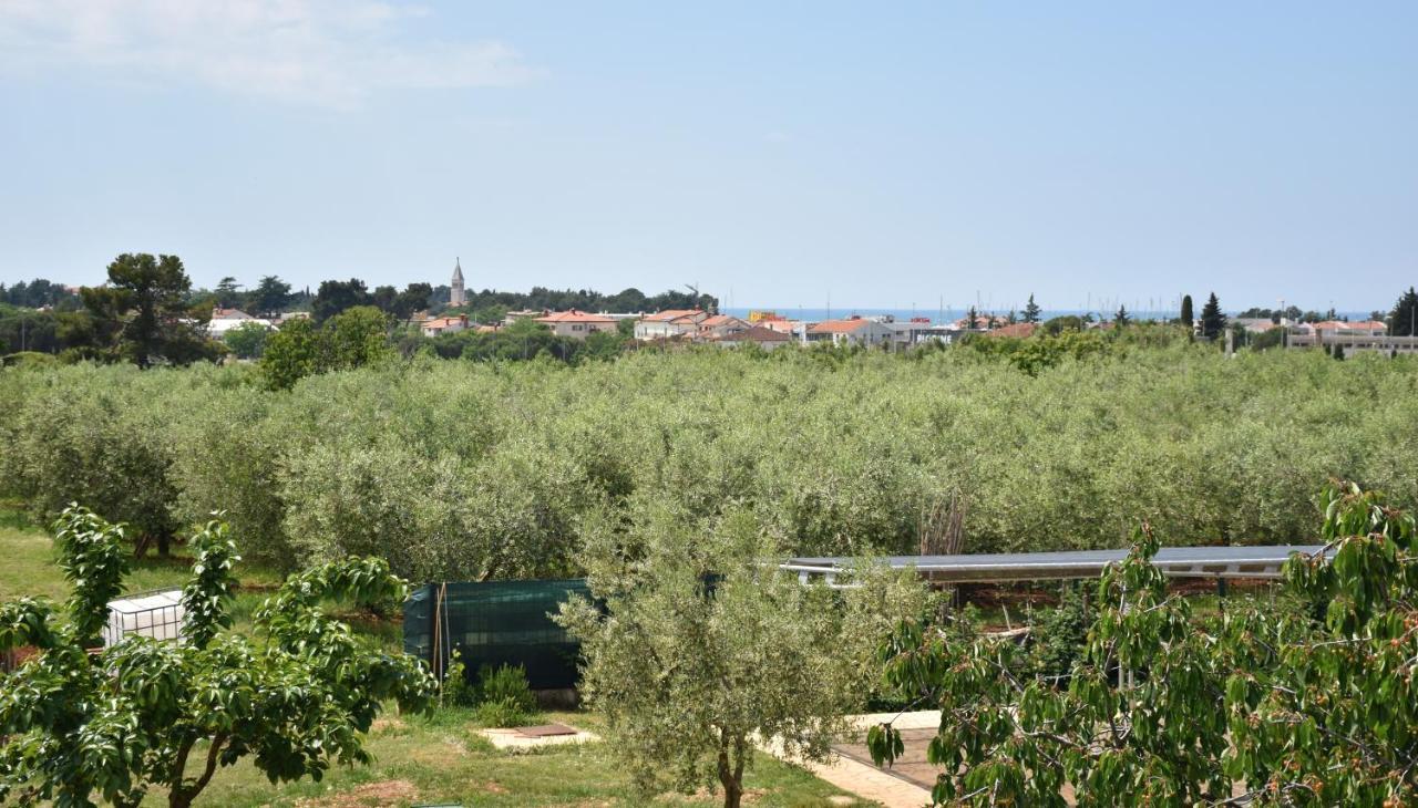 Apartmani Diana Novigrad Istria Exterior foto